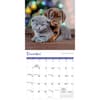 image Kittens and Puppies 2025 Mini Wall Calendar Alt4