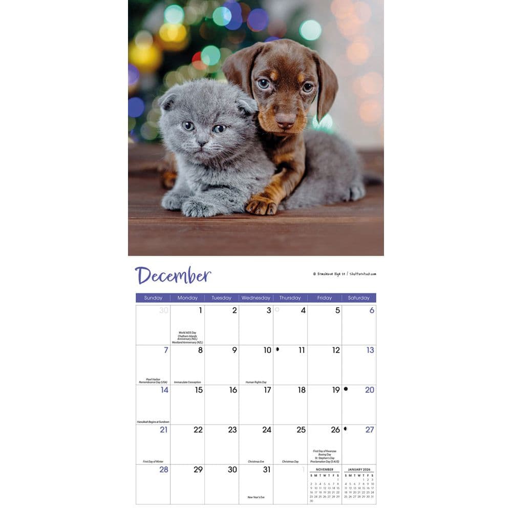 Kittens and Puppies 2025 Mini Wall Calendar Alt4