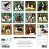image Just English Springer Spaniels 2026 Wall Calendar First Alternate Image