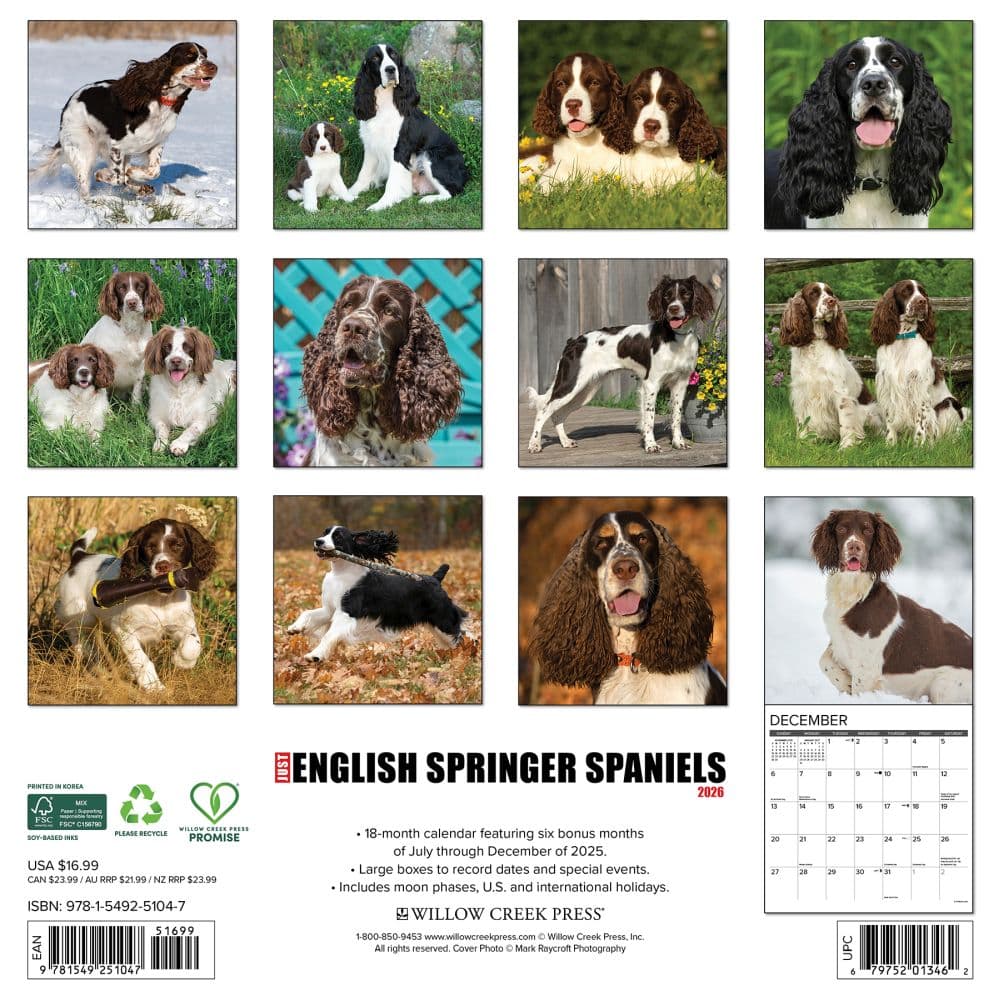 Just English Springer Spaniels 2026 Wall Calendar First Alternate Image