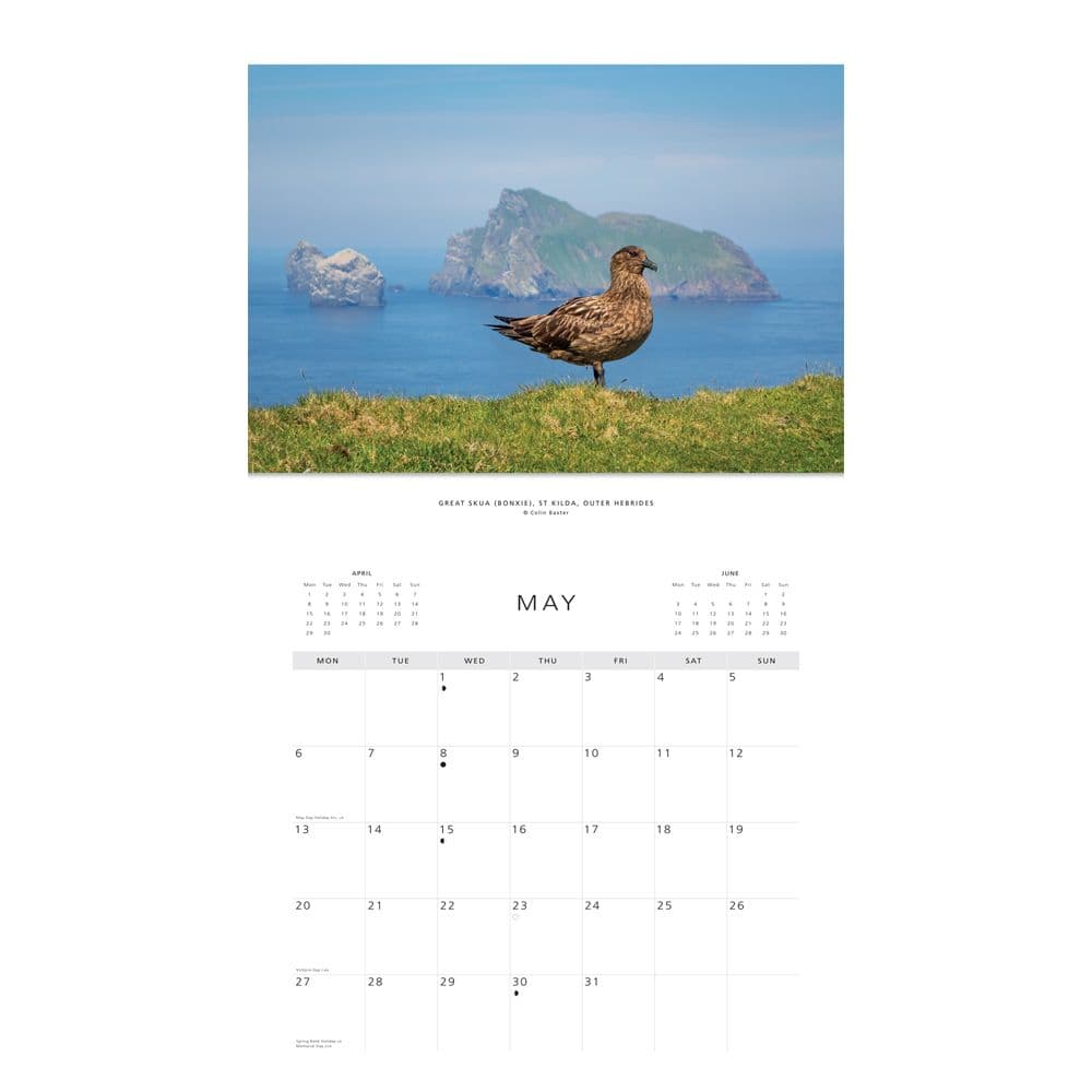 Scottish Wildlife 2024 Wall Calendar Calendars Com   17075869 3402 4cba B37e D110a8c19b75