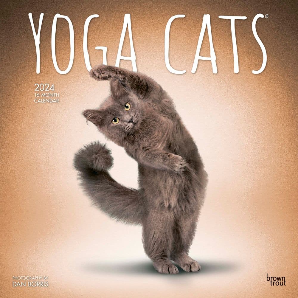 2024 Cat Yoga Calendar –