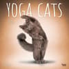 image Yoga Cats 2024 Wall Calendar Main Product Image width=&quot;1000&quot; height=&quot;1000&quot;