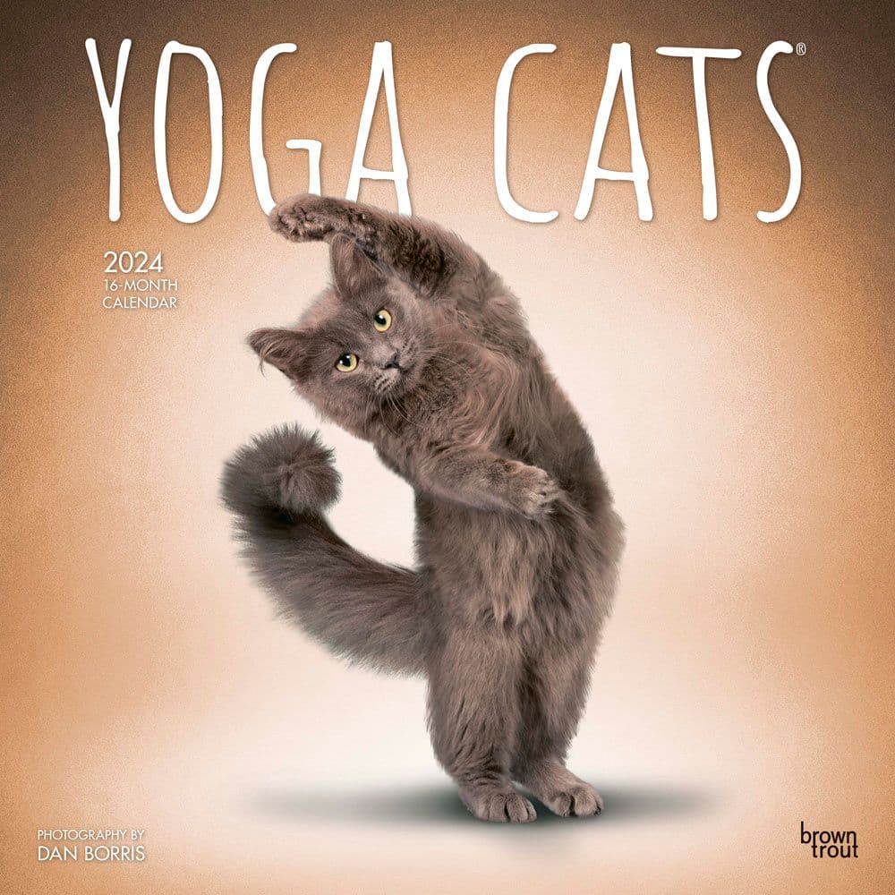 Yoga Cats 2024 Wall Calendar Main Product Image width=&quot;1000&quot; height=&quot;1000&quot;