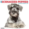 image Just Schnauzer Puppies 2026 Wall Calendar Main Image