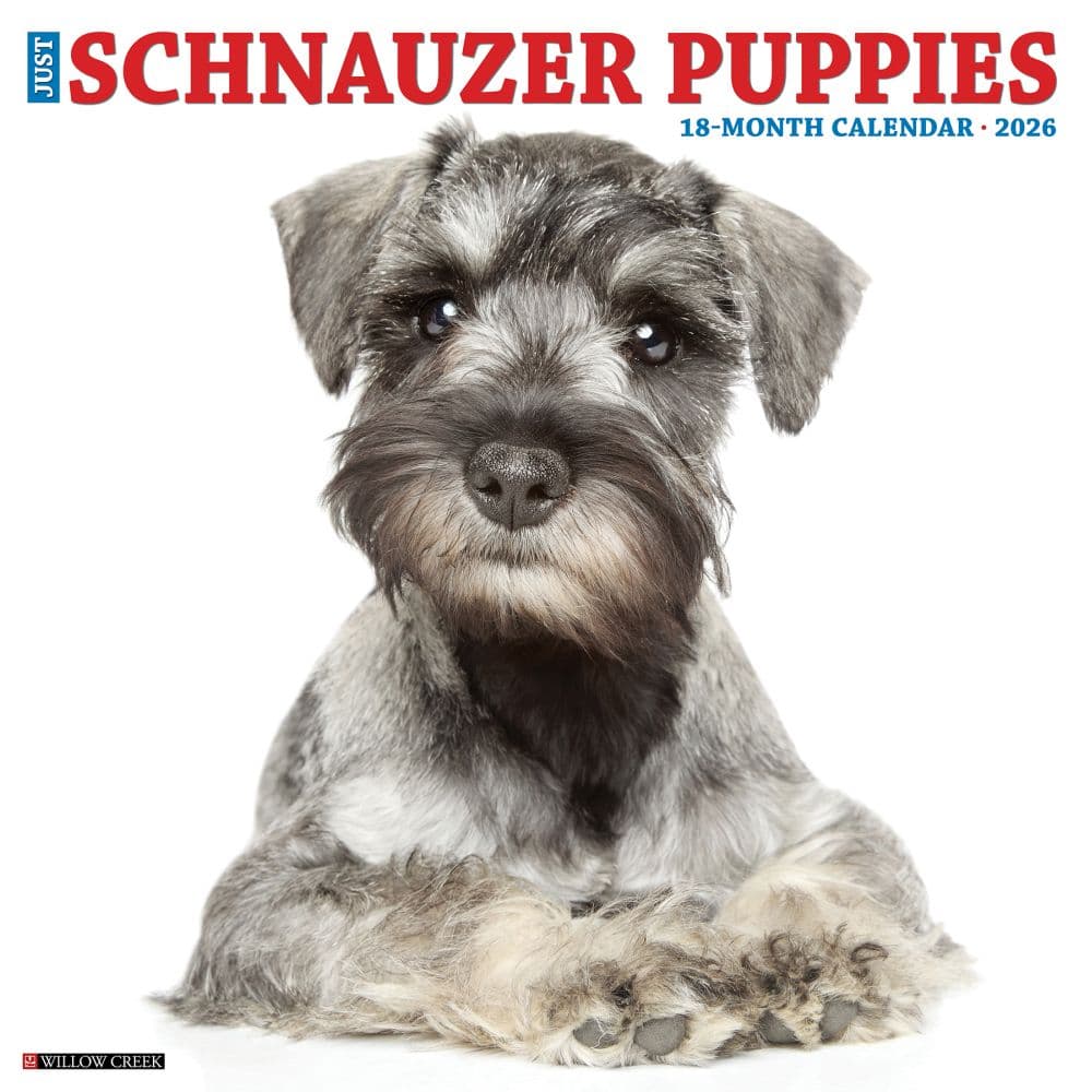 Just Schnauzer Puppies 2026 Wall Calendar Main Image