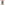 image Just Schnauzer Puppies 2026 Wall Calendar Main Image