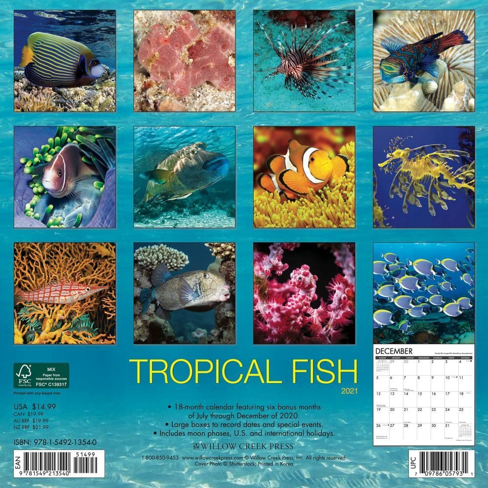 Tropical Fish Wall Calendar