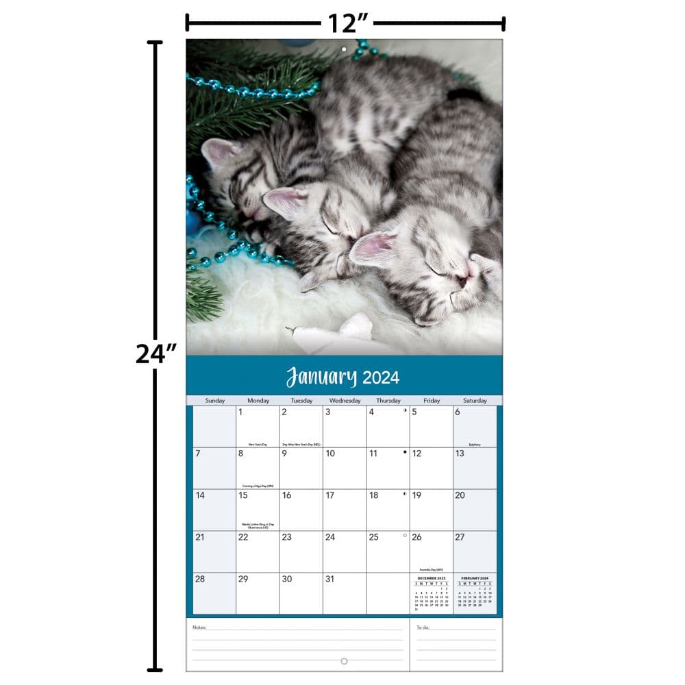 Curious Kittens 2024 Wall Calendar Alternate Image 4