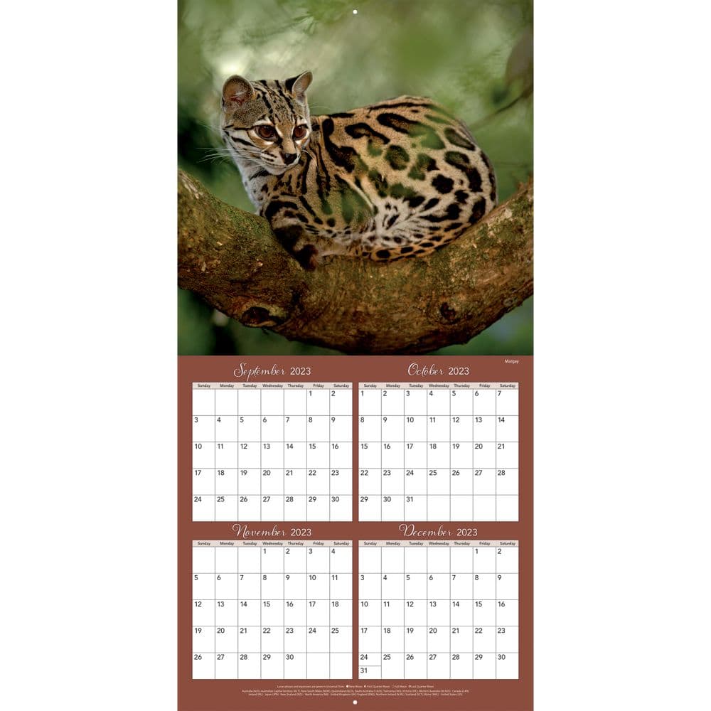 Costa Rica 2024 Wall Calendar Calendars Com   173c2b7d 35a7 4795 8c6e 1a76868e558f