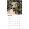 image Irish Wolfhounds 2024 Wall Calendar Second Alternate Image width=&quot;1000&quot; height=&quot;1000&quot;