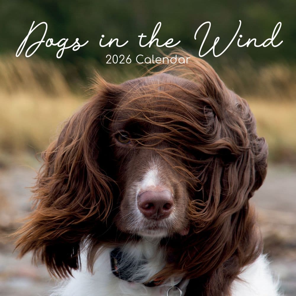 Dogs in the Wind 2026 Wall Calendar Main Image