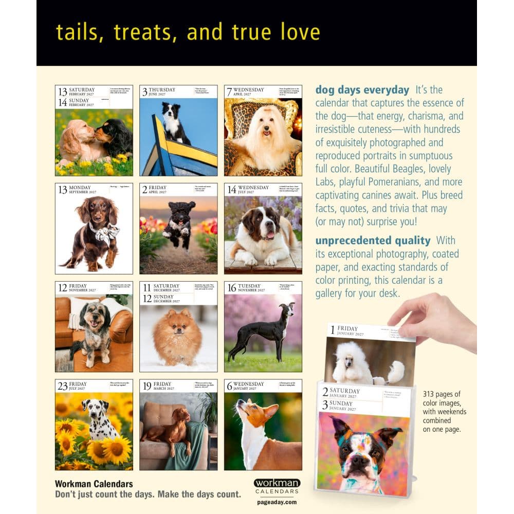 Dog Page-A-Day Gallery 2027 Desk Calendar First Alternate Image