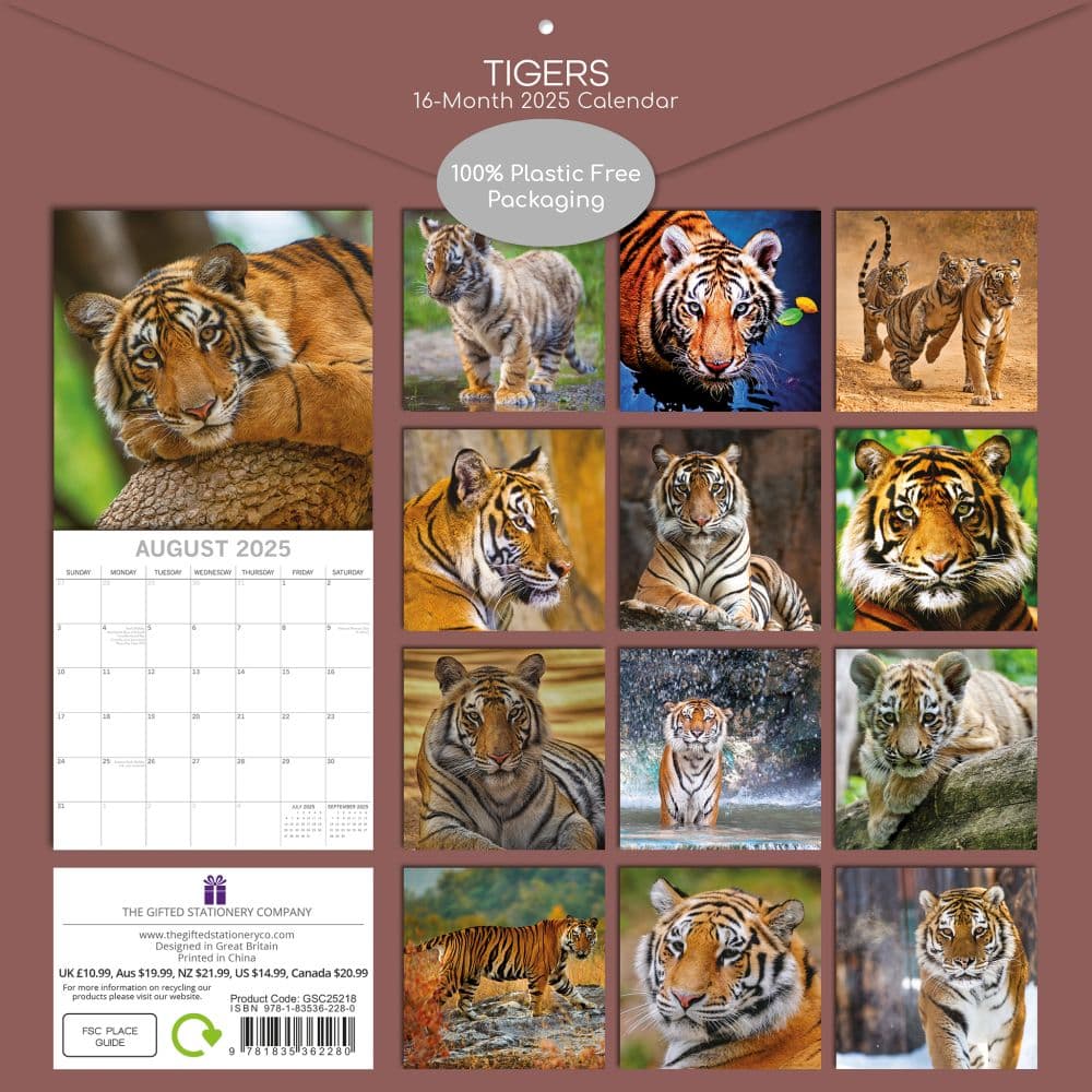 Tigers 2025 Wall Calendar