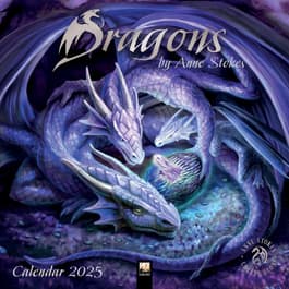 Dragons Stokes 2025 Wall Calendar