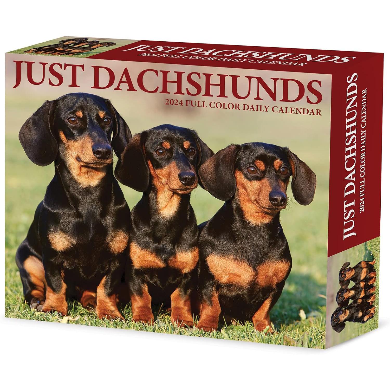 Dachshund 2024 Calendars For Sale 2021 Disney World Crowd Calendar 2024