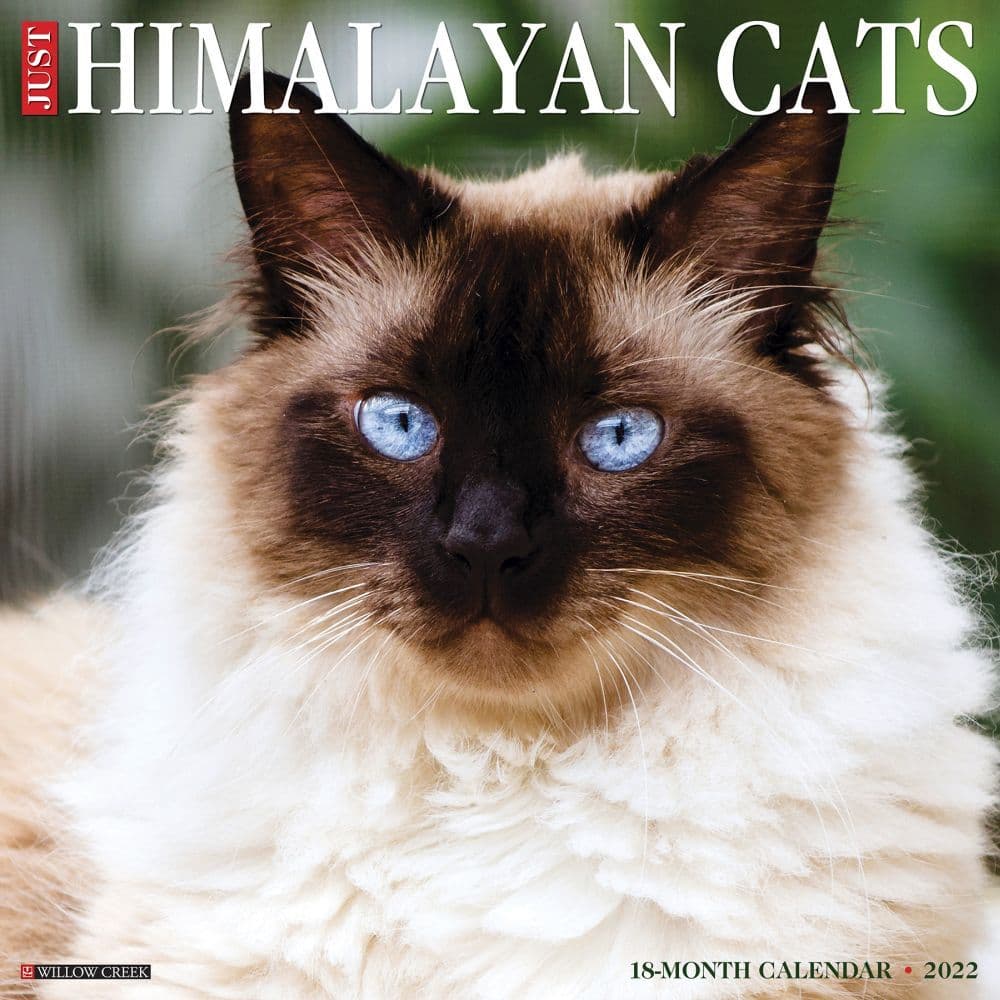 2022 Calendar Mini Birman Cat academic calendar 2022