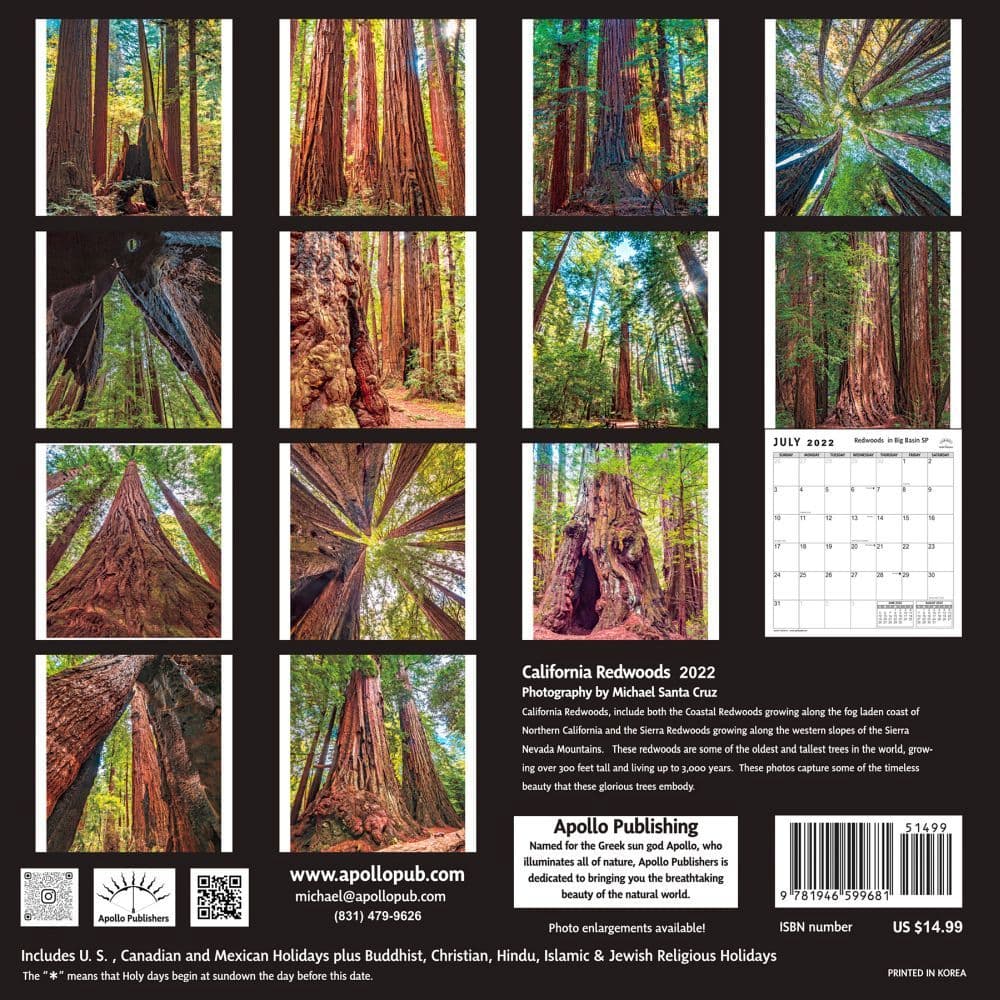 California Redwoods 2022 Wall Calendar - Calendars.com