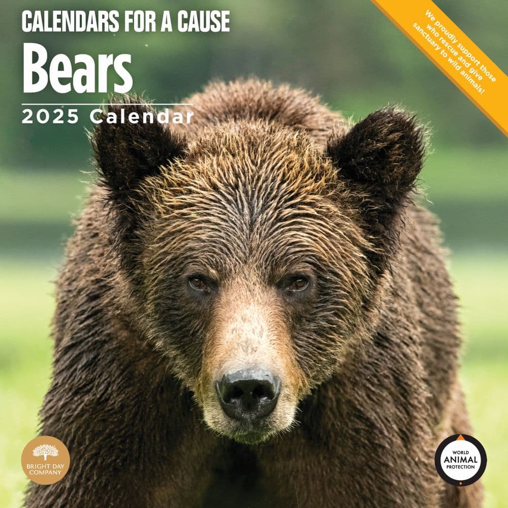 Bears 2025 Wall Calendar Main Image