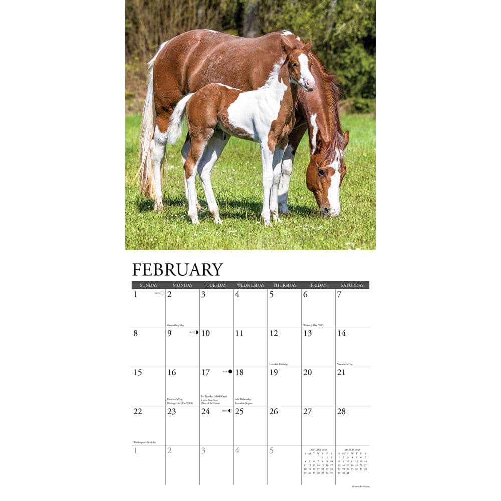 Just Horses 2026 Wall Calendar Second Alternate Image