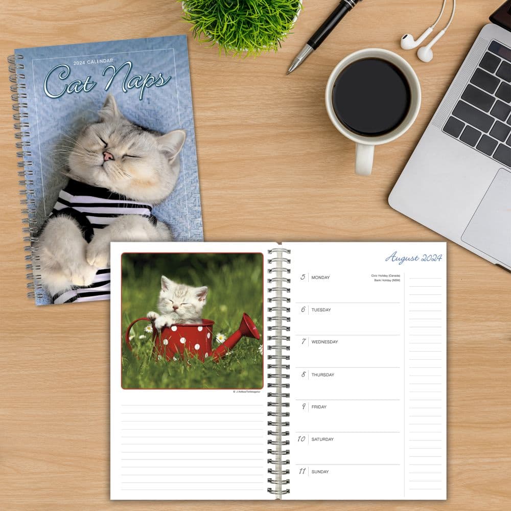 Cat Naps 2024 Planner