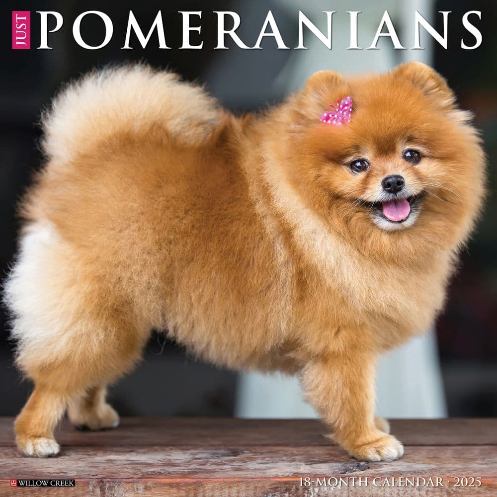 Just Pomeranians 2025 Wall Calendar