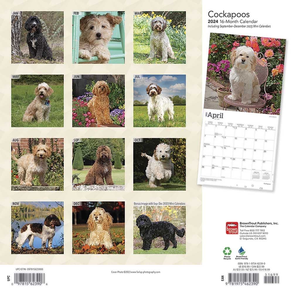 Cockapoos 2024 Wall Calendar First Alternate Image width=&quot;1000&quot; height=&quot;1000&quot;