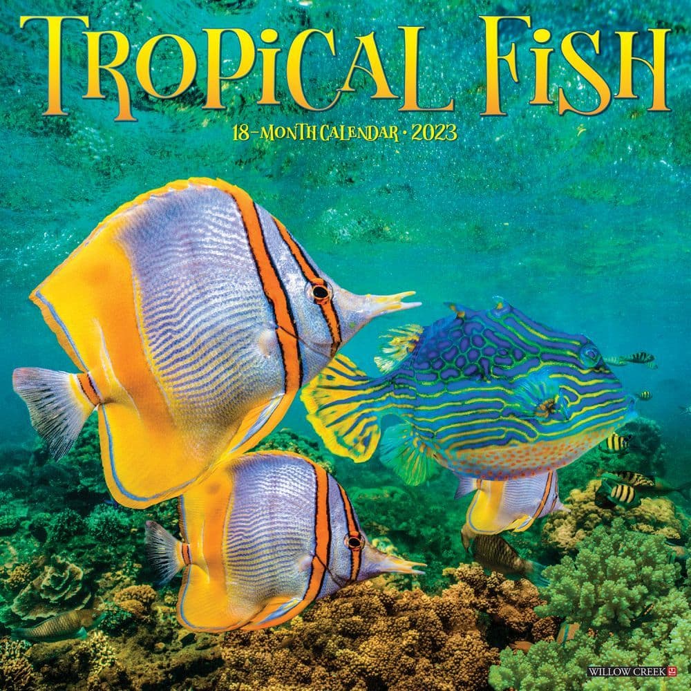 Fish Calendar 2023 Tropical Fish 2023 Wall Calendar - Calendars.com