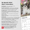 image Shih Tzu Puppies 2025 Mini Wall Calendar