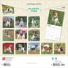 image Jack Russell Terriers 2025 Wall Calendar First Alternate Image width=&quot;1000&quot; height=&quot;1000&quot;