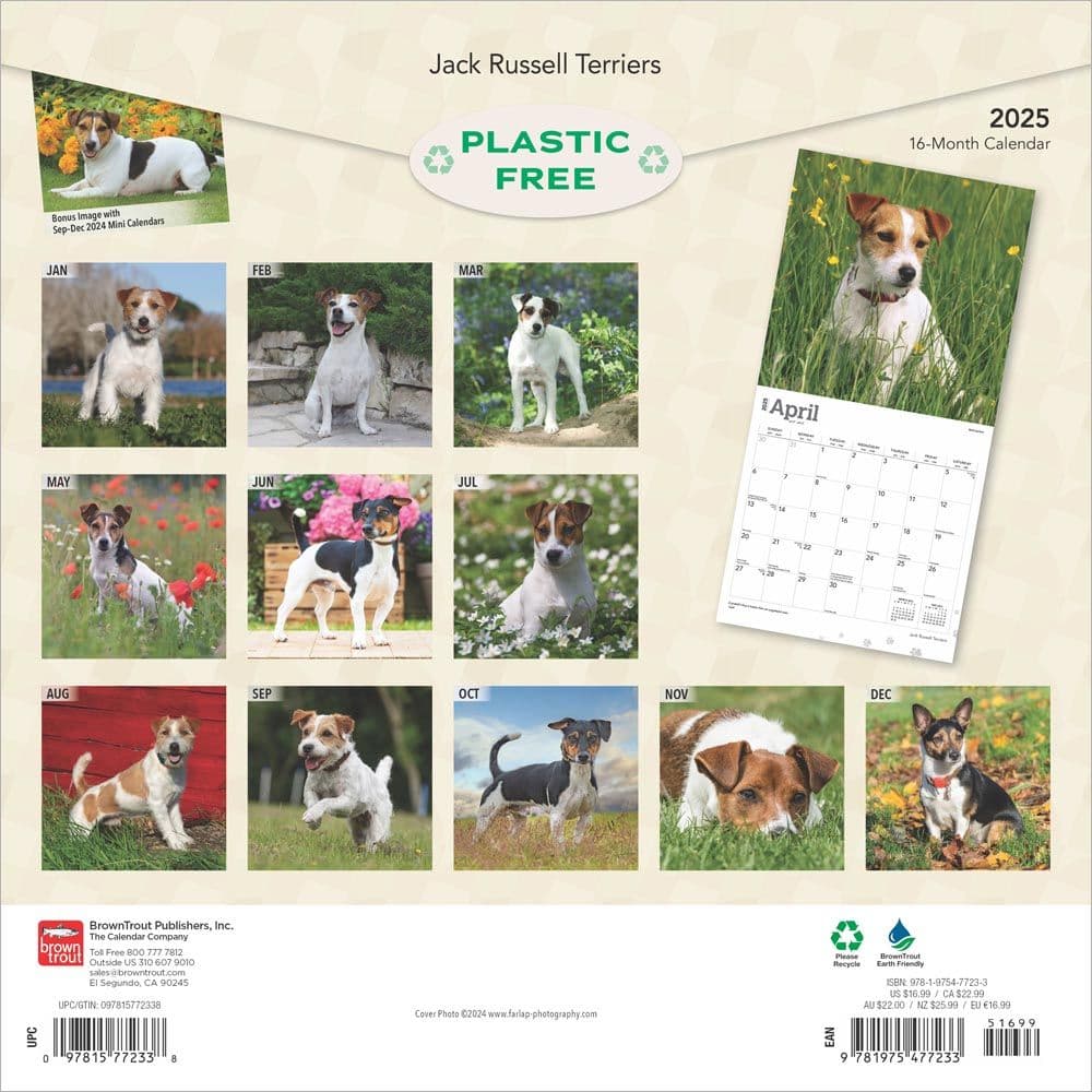 Jack Russell Terriers 2025 Wall Calendar First Alternate Image width=&quot;1000&quot; height=&quot;1000&quot;