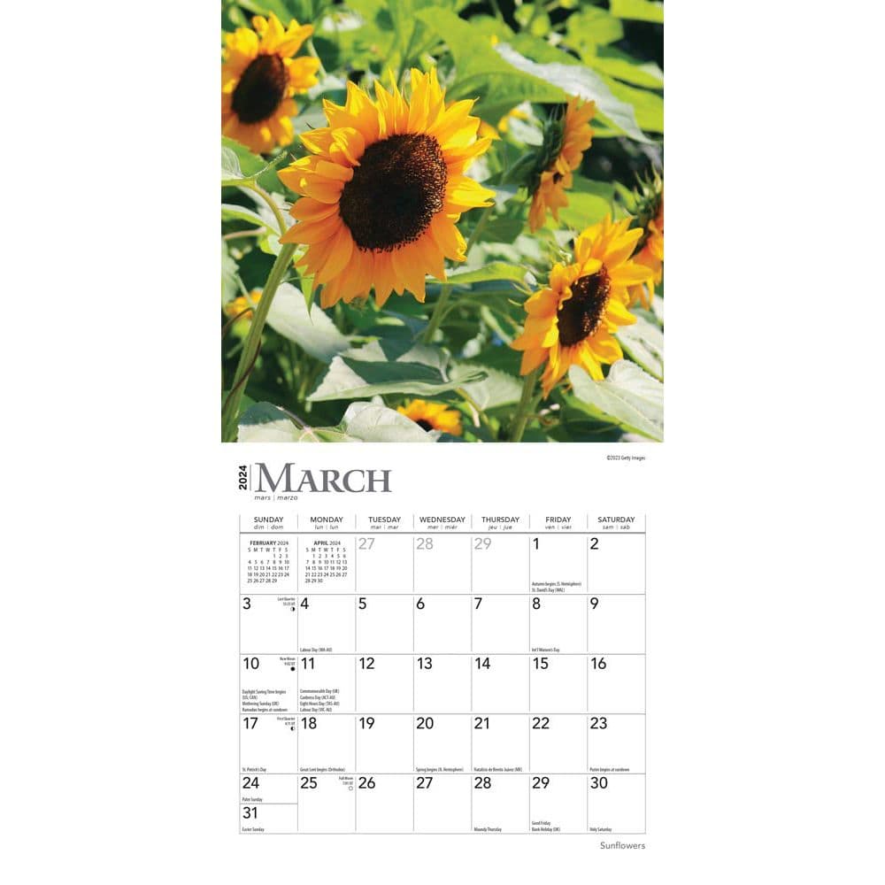 Sunflowers 2024 Mini Wall Calendar Alternate Image 2
