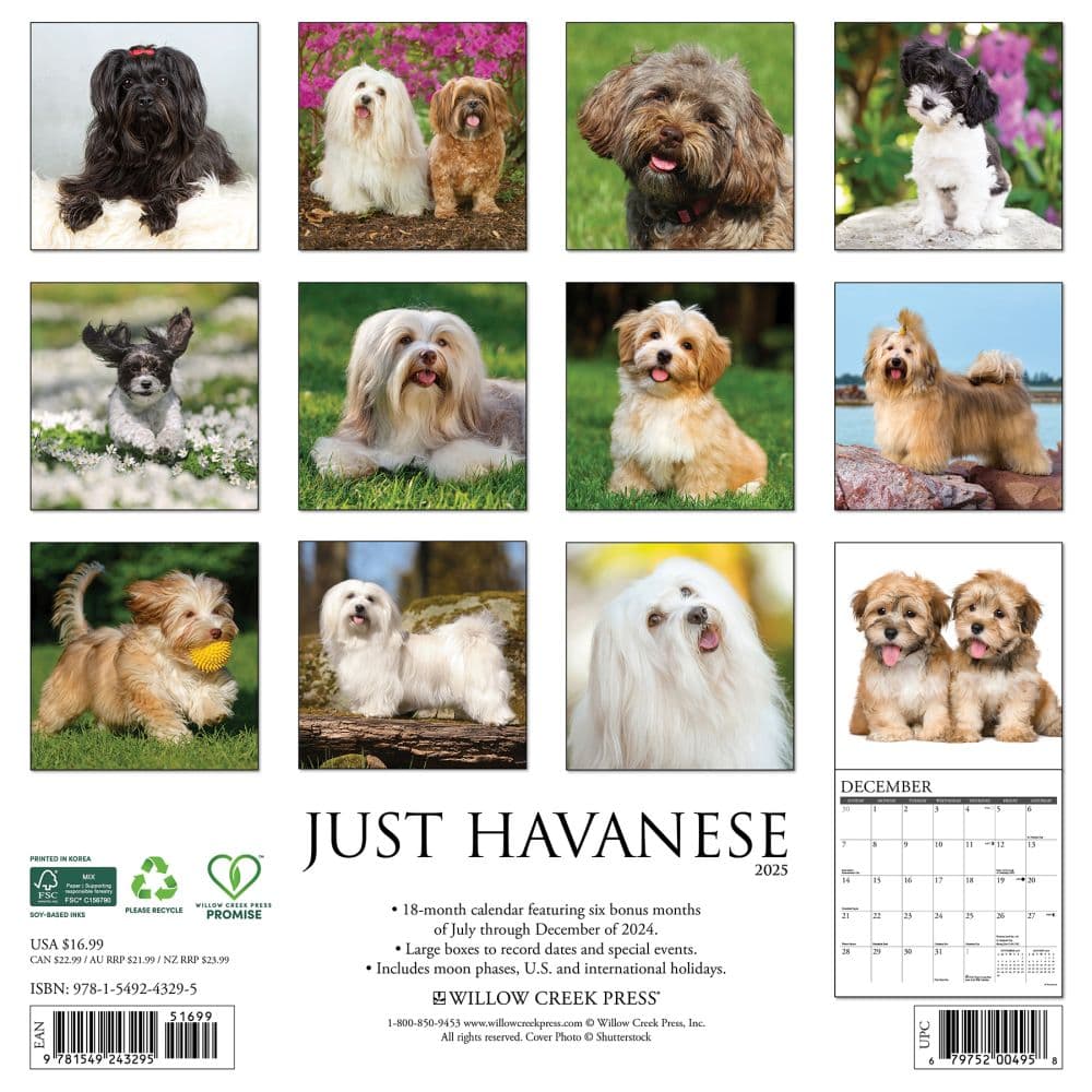 Just Havanese 2025 Wall Calendar First Alternate Image width="1000" height="1000"