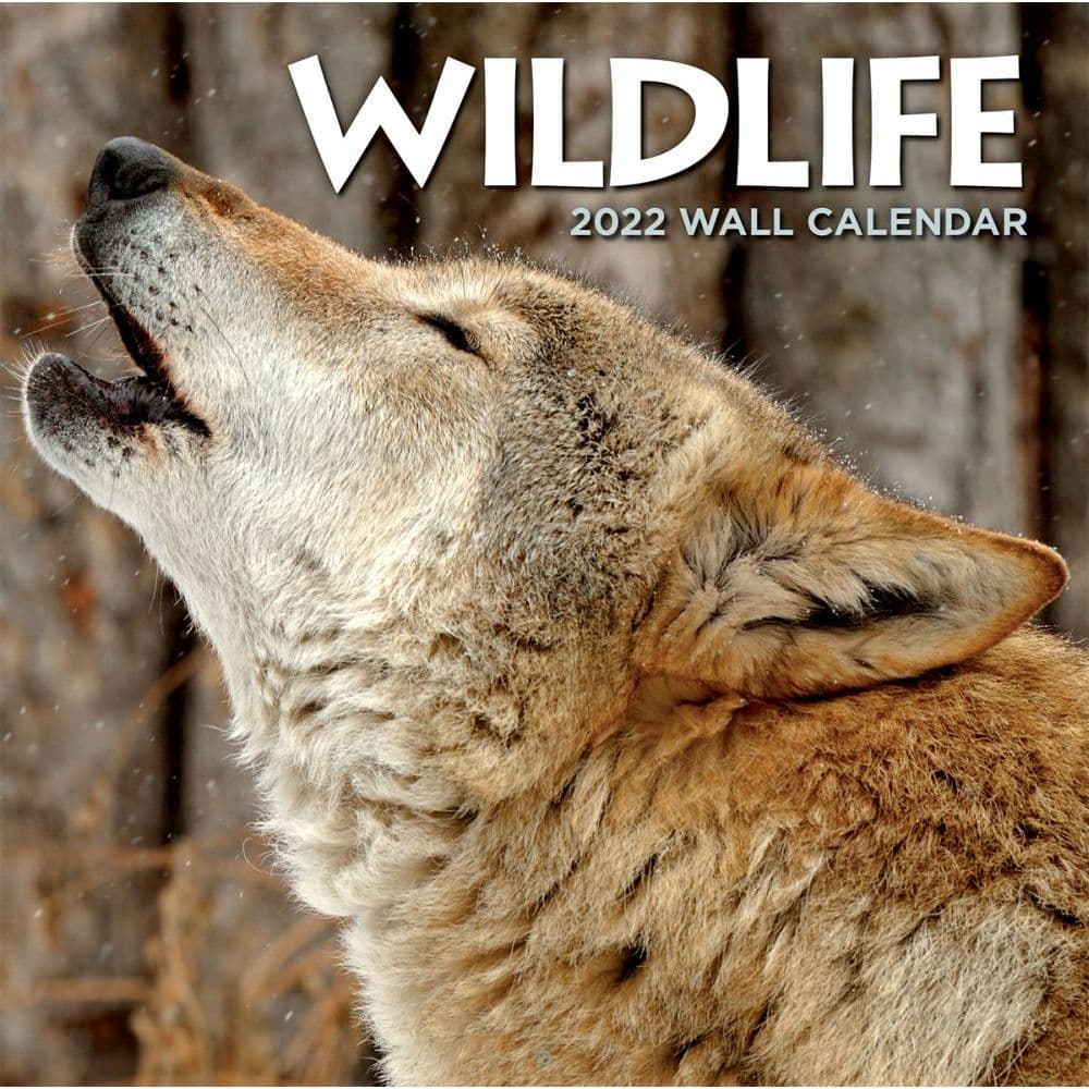 Wildlife 2022 Wall Calendar - Calendars.com