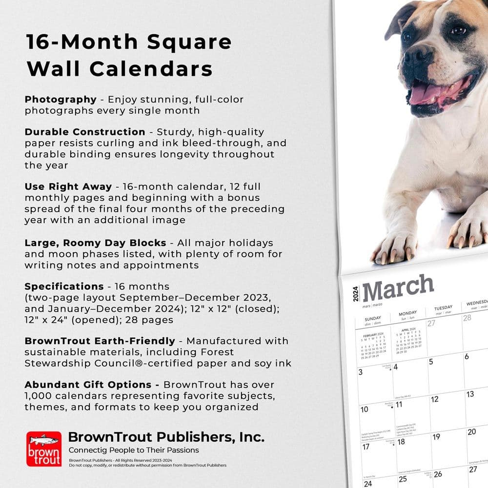 American Bulldogs 2024 Wall Calendar