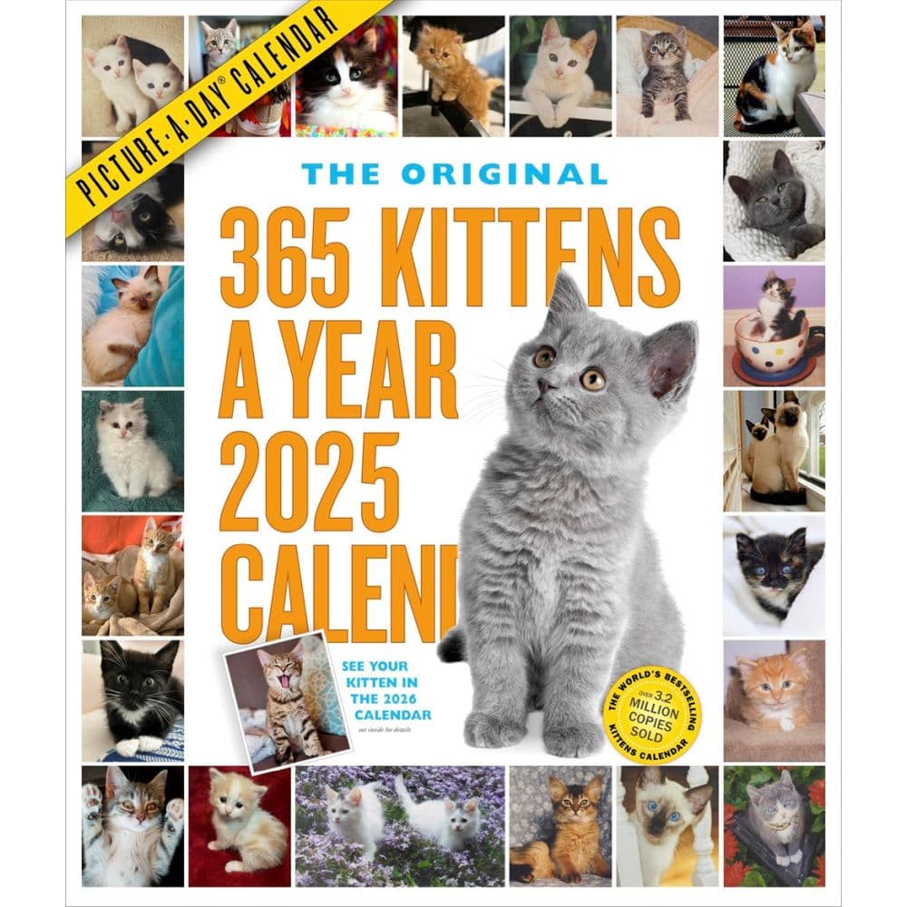 Kittens 365 Days 2025 Wall Calendar - Calendars.com