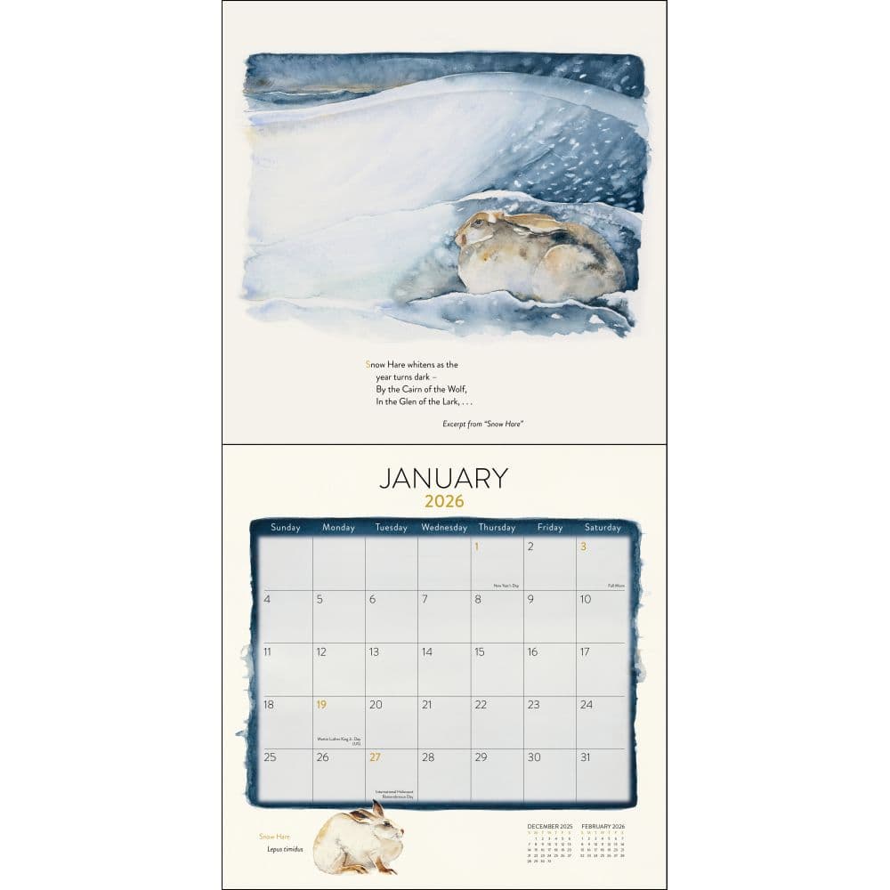 Lost Spells 2026 Wall Calendar Second Alternate Image