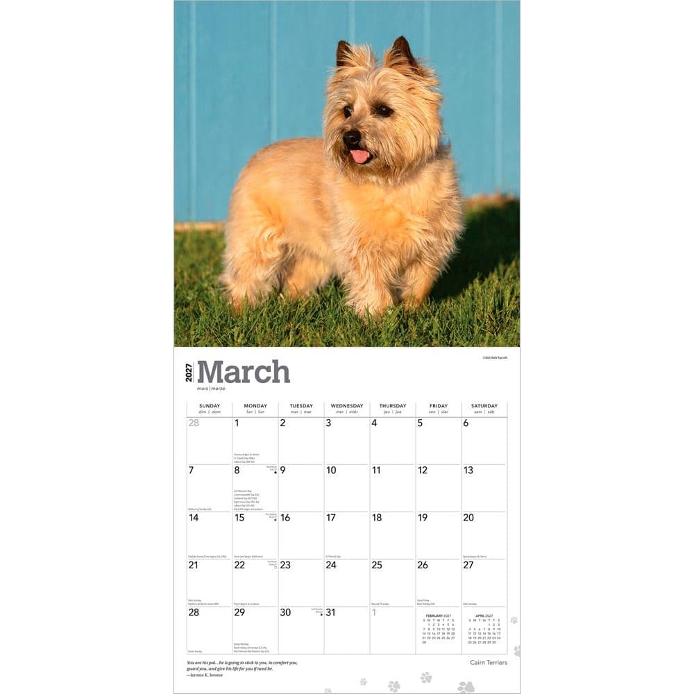 Cairn Terriers 2027 Wall Calendar Second Alternate Image