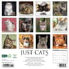 image Just Cats 2025 Wall Calendar First Alternate Image width=&quot;1000&quot; height=&quot;1000&quot;