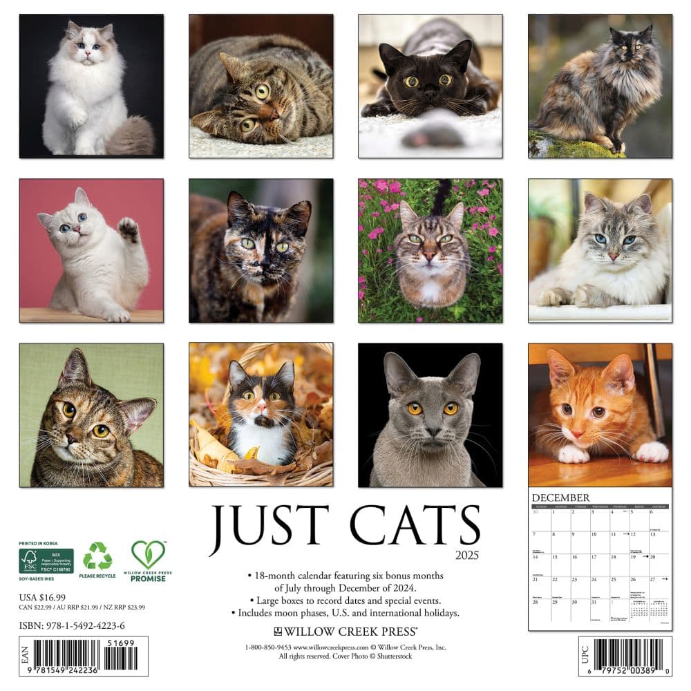 Just Cats 2025 Wall Calendar First Alternate Image width=&quot;1000&quot; height=&quot;1000&quot;