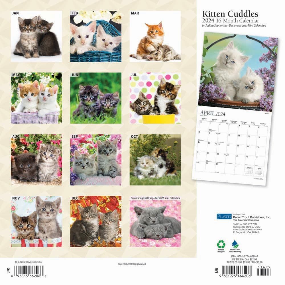 Kitten Cuddles 2024 Wall Calendar - Calendars.com