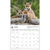 image Foxes WWF 2024 Wall Calendar