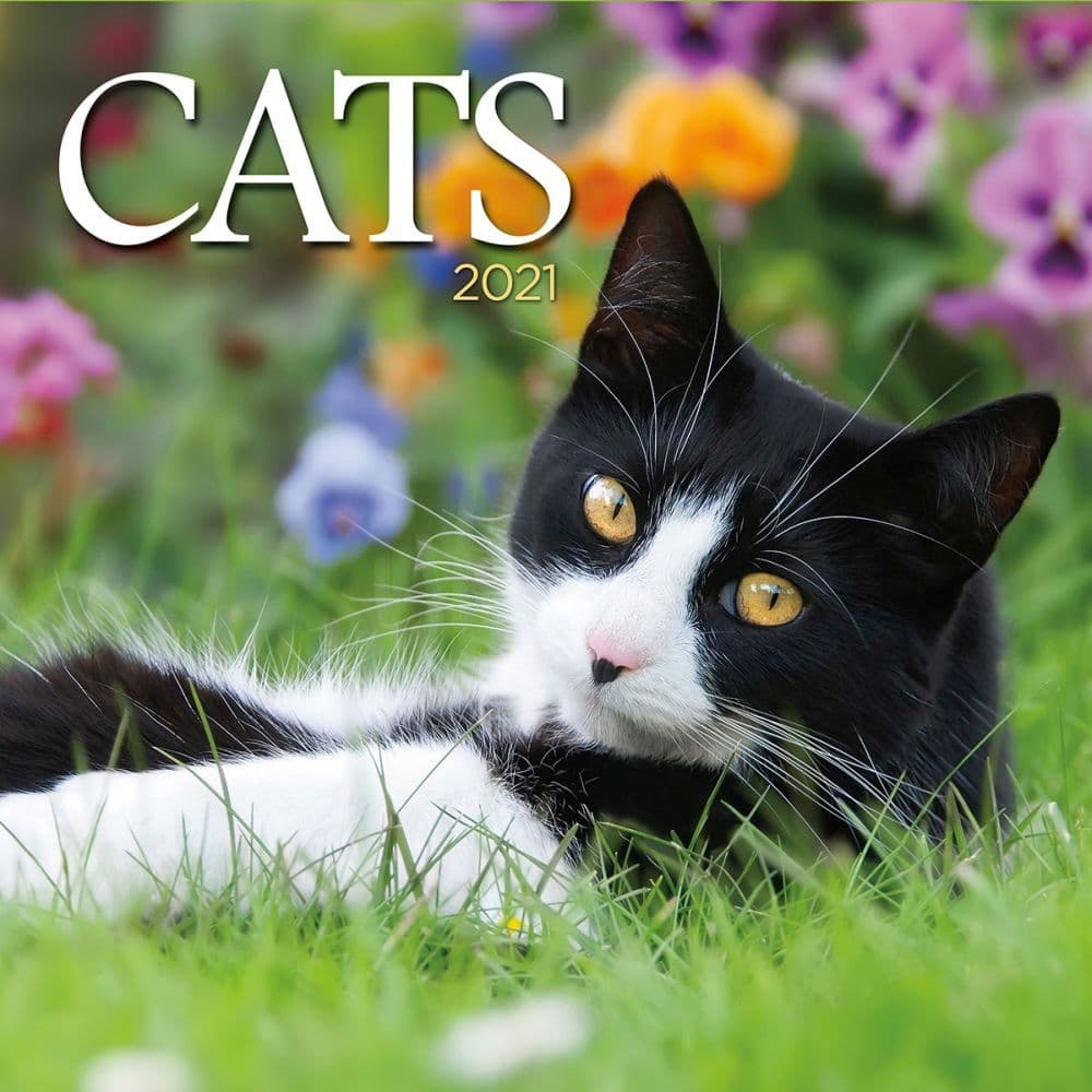 Cats Wall Calendar