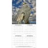 image Birds Of Prey Photo 2025 Wall Calendar Alt3