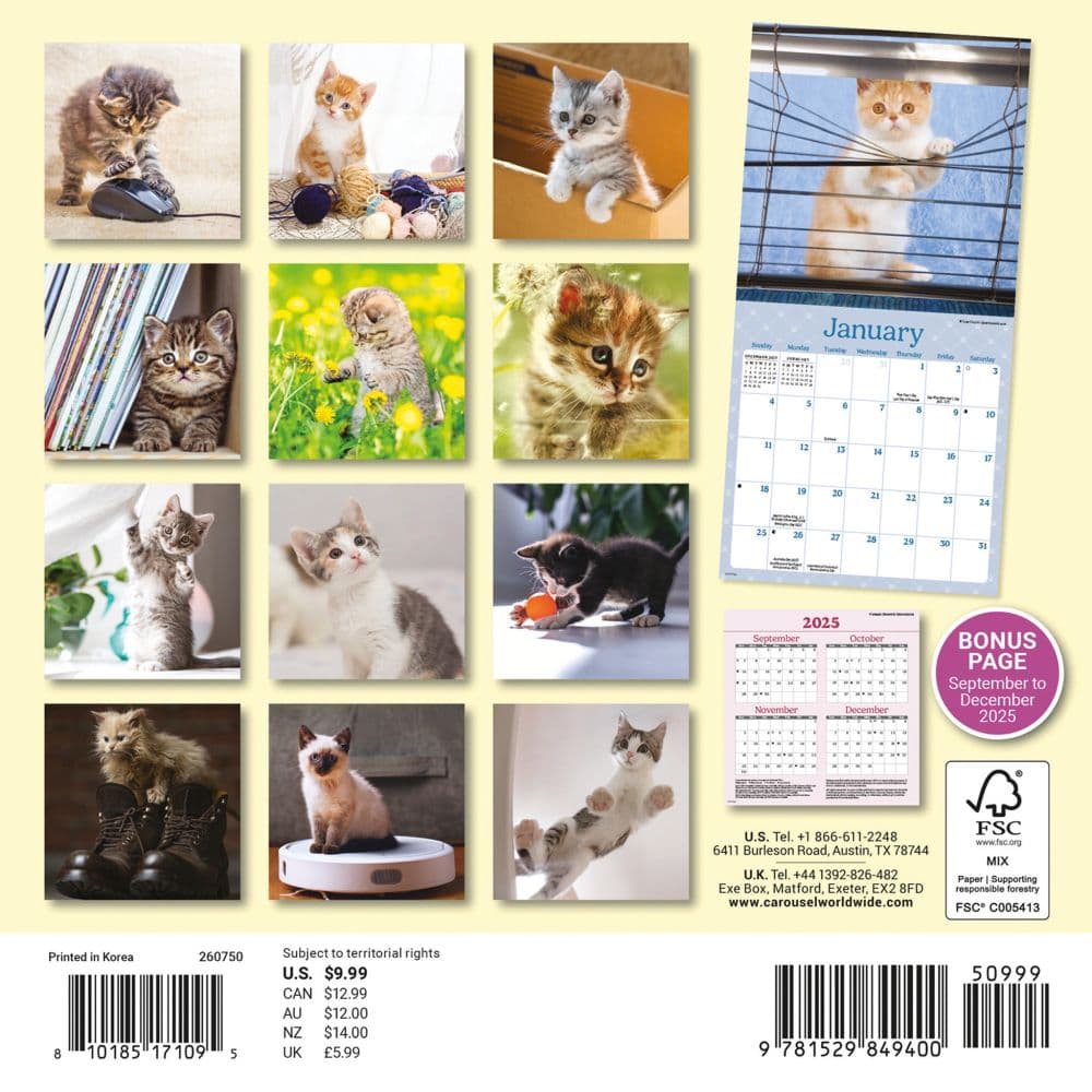 Curious Kittens 2026 Mini Wall Calendar First Alternate Image
