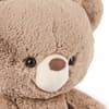 image Kai Teddy Bear Plush Tenth Alternate Image