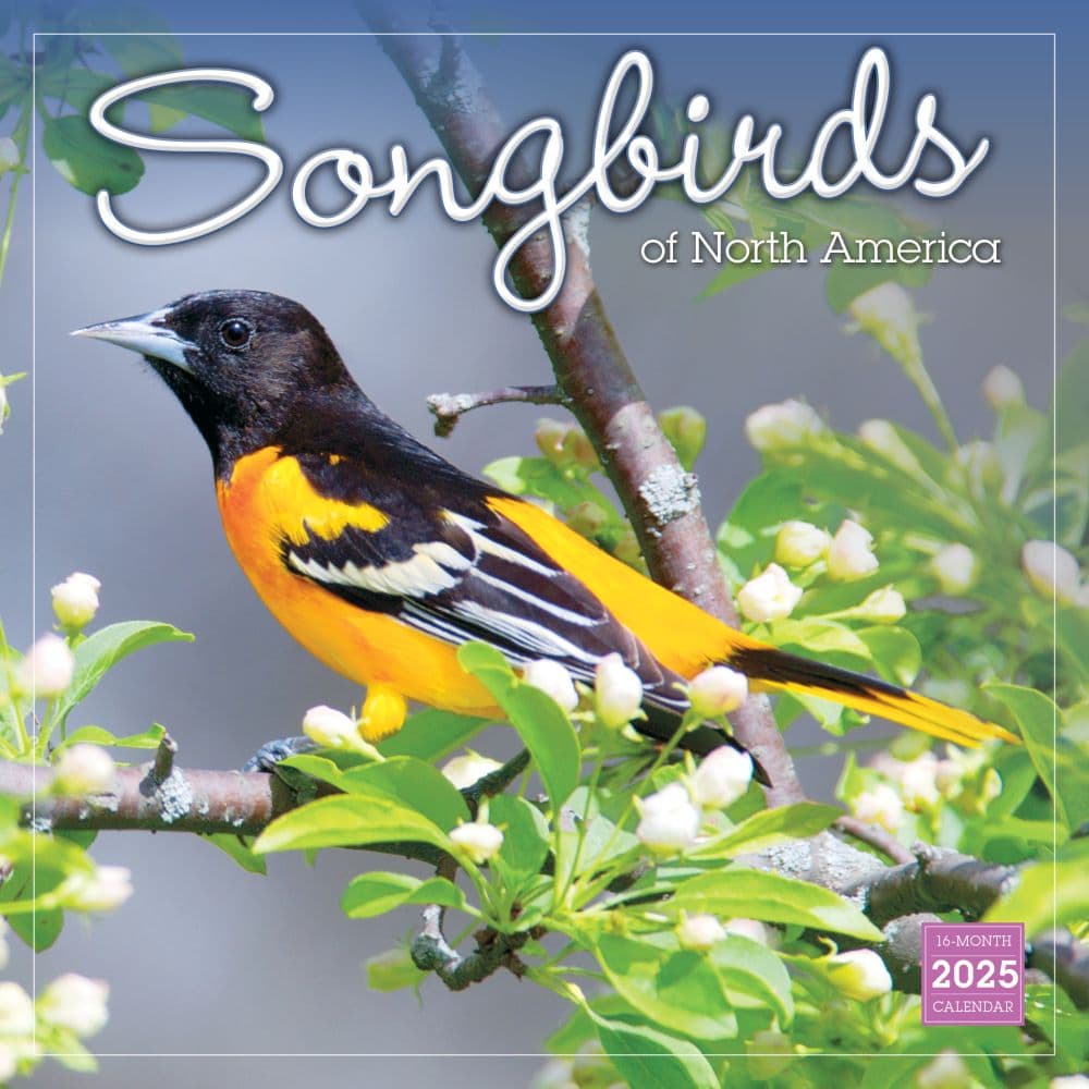 Songbirds 2025 Wall Calendar