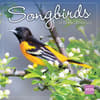 image Songbirds 2025 Wall Calendar Main Product Image width=&quot;1000&quot; height=&quot;1000&quot;