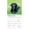 image Black Lab Puppies 2026 Mini Wall Calendar