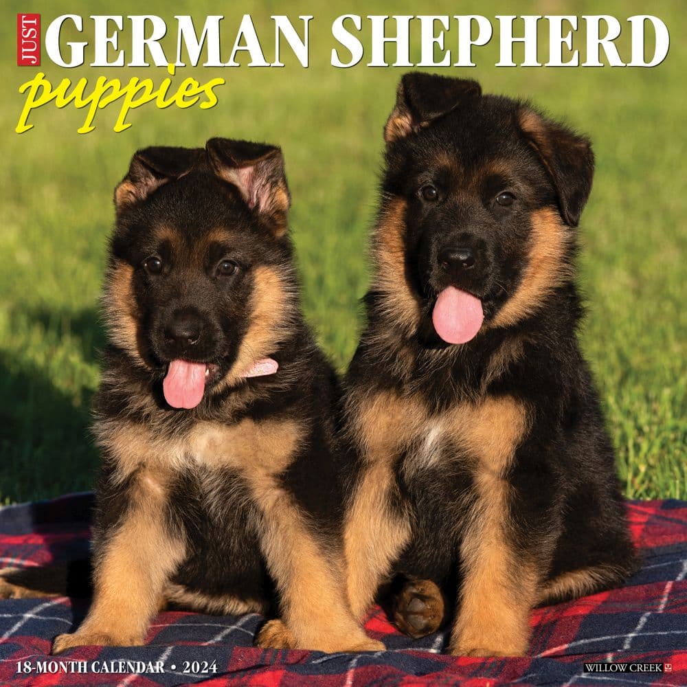 Just German Shepherd Puppies 2024 Wall Calendar Main Image